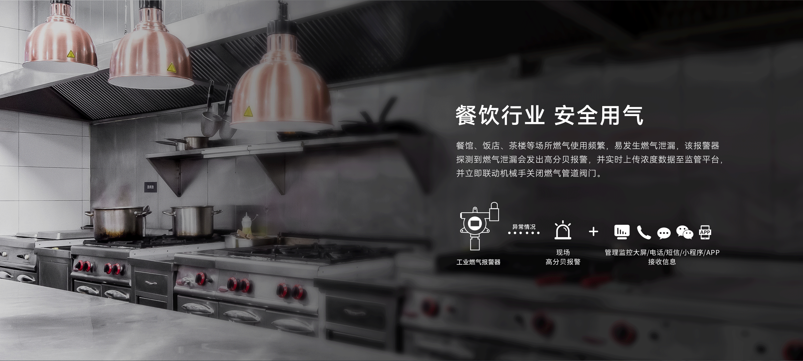 工業(yè)型可燃氣體探測器-GYT-HF-911NB詳情頁(yè)-2560P_03.gif