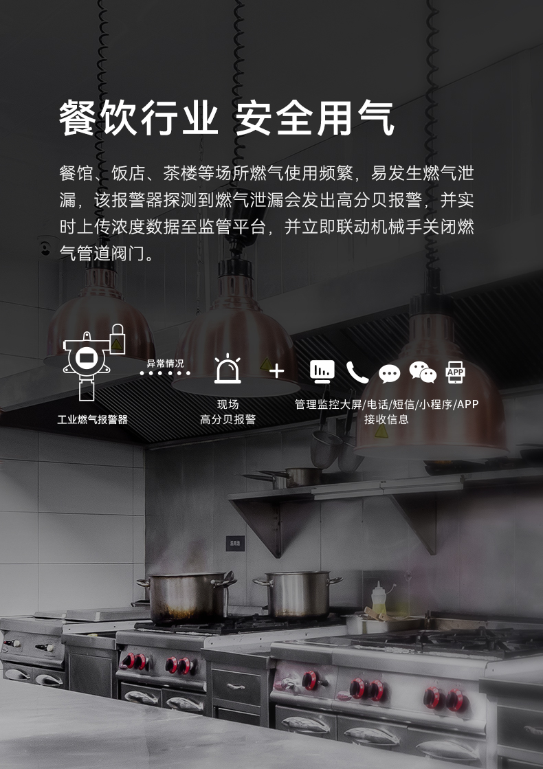 工業(yè)型可燃氣體探測器-GYT-HF-911NB詳情頁(yè)-790P_03.jpg